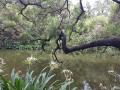 -人民公园(罗湖区)