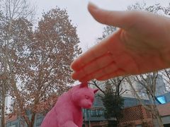 -西安电影制片厂