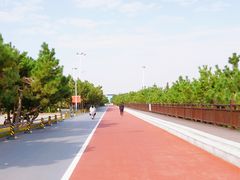 -日照海滨国家森林公园