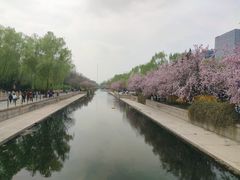 -元大都城垣遗址公园