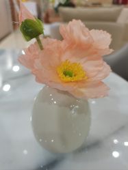 -生命加•Q考拉月子会所(玫瑰园店)