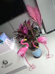 -E.beauty驻颜·痘敏肌调理中心