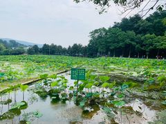 -韶山毛泽东同志故居