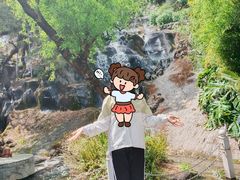 -南诏风情岛