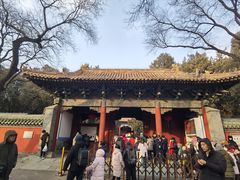 -北京国子监胡同
