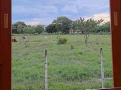 -Chom Cafe and Restaurant