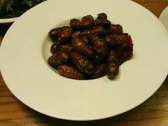 -一轩饺子馆(丽都店)