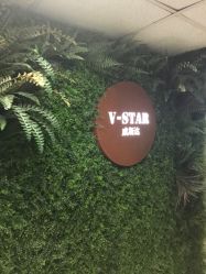 -V-STAR威斯达•高级私人定制