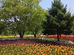 -长春公园(普阳街道)