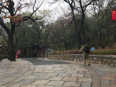 -灵岩山风景区