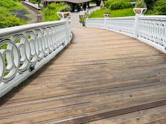 -济州森林小火车生态公园