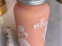 -野萃山·潮汕厚果汁(十亩地店)