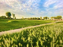 -汉长安城未央宫国家考古遗址公园