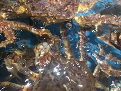 -都市阳光海鲜城(青山湖店)