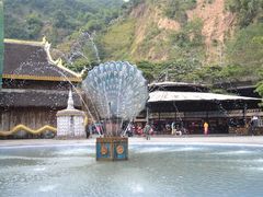 -西双版纳原始森林公园