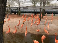 -鄂尔多斯野生动物园