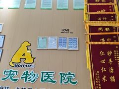 -半岛宠物医院24小时·内窥镜·牙科·碎石中心(府城大道店)