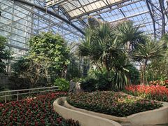 -南山植物园