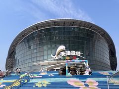 -海合安天津极地海洋公园