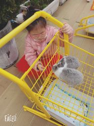 点击看大图 -小蜜蜂农场(凯德七宝购物广场店)