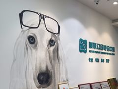 -美联众合动物医院·24h转诊中心