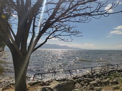 -大理洱海