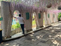 -虎英水上乐园
