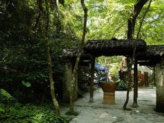 -桂林古东瀑布景区