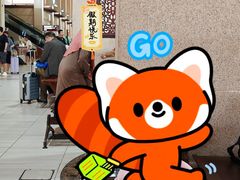 -登嘉楼机场