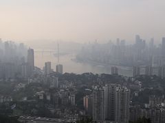 -南山植物园