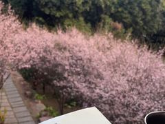 -草庵摩尼教遗址公园