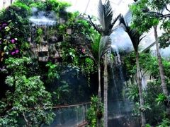 -正佳雨林生态植物园