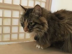 -小时光咖啡馆(开森度假森林店)