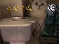 -一兆韦德健身(张杨路店)