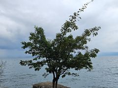 -抚仙湖禄充风景区