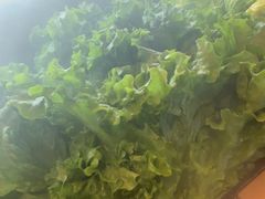 -牛YO寿喜烧和牛火锅自助(三台子万象汇店)