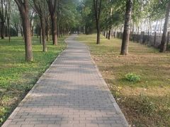 -大望京公园