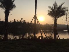 -枫香湖儿童公园