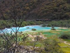 -黄龙山原始森林景区