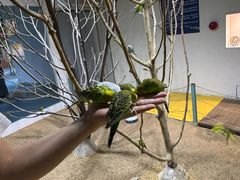 -上海大自然野生昆虫馆(东方明珠·爬宠昆虫探索中心)