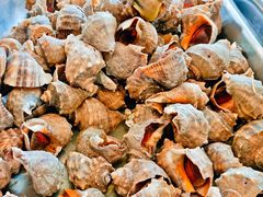 -银帆宾馆-自助餐厅(金马路店)