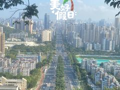 -板樟山森林公园