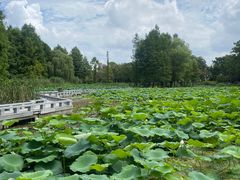 -白塘生态植物园