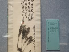 -辽宁省博物馆