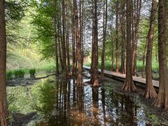 -溱湖国家湿地公园