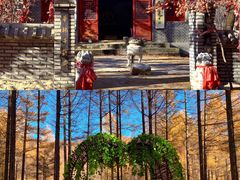 -龙道沟景区