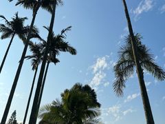 -深圳仙湖植物园