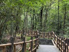 -青龙山国家森林公园