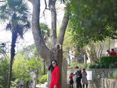 -上海佘山国家森林公园西佘山园