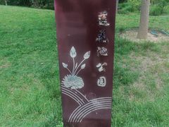 -莲花池公园